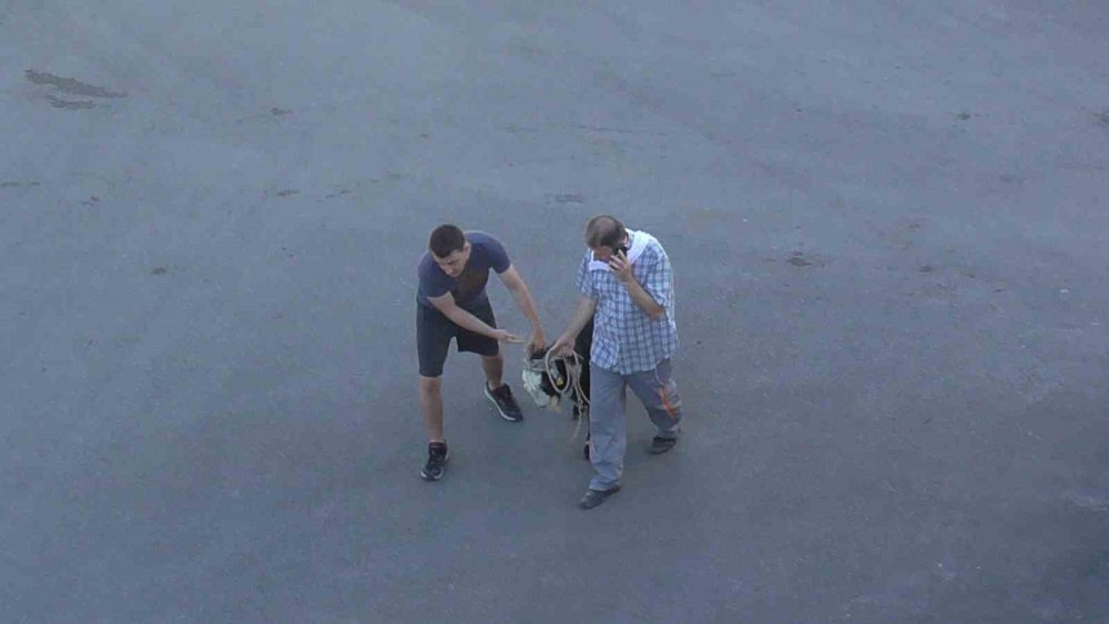 Konya’da firari kurbanlık kovalamaca yaşattı