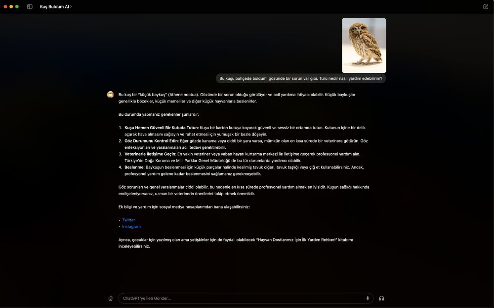 Yapay zekayla kuş tedavisi!