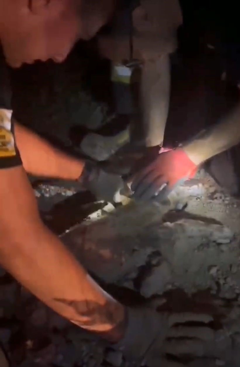 Konya'da 2 yavru köpek ziftte bulandı