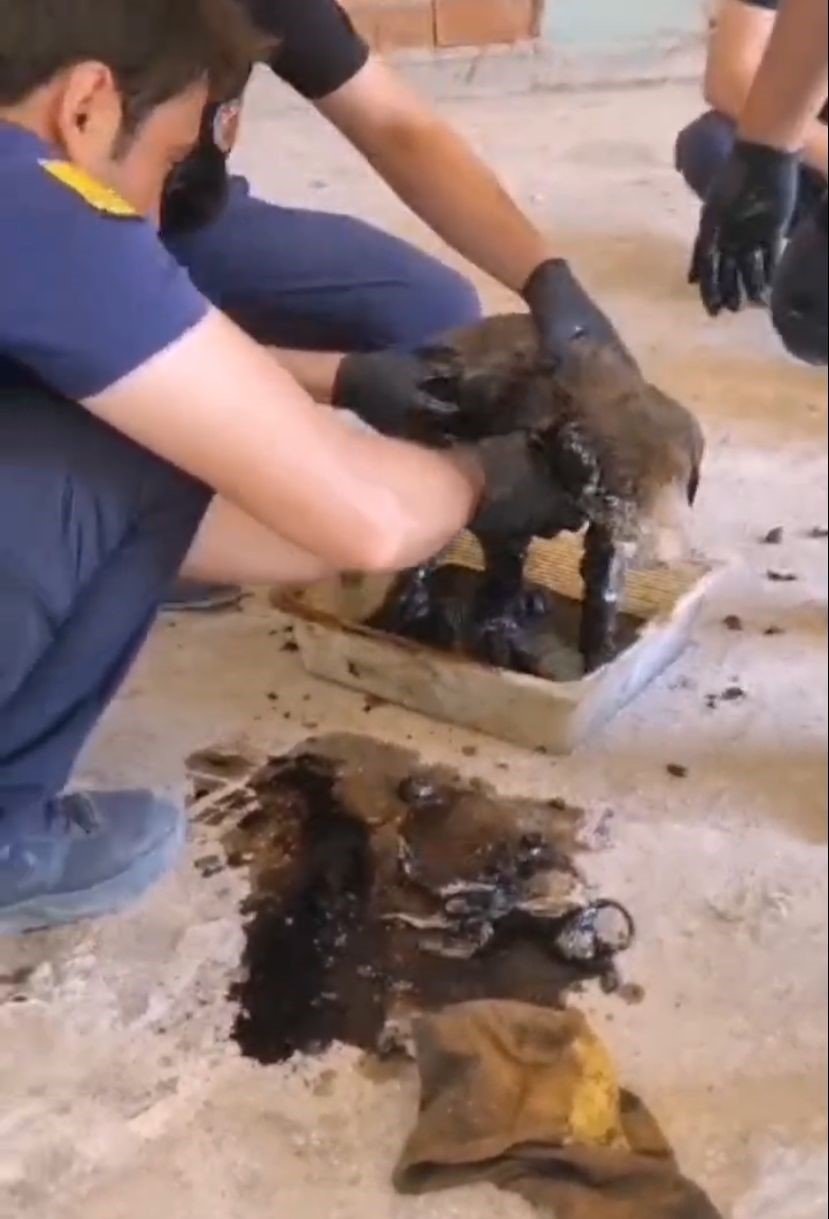 Konya'da 2 yavru köpek ziftte bulandı