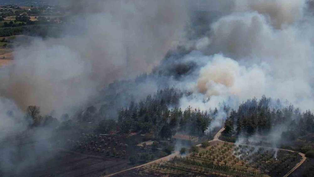 Bursa’daki yangın ormana sıçradı