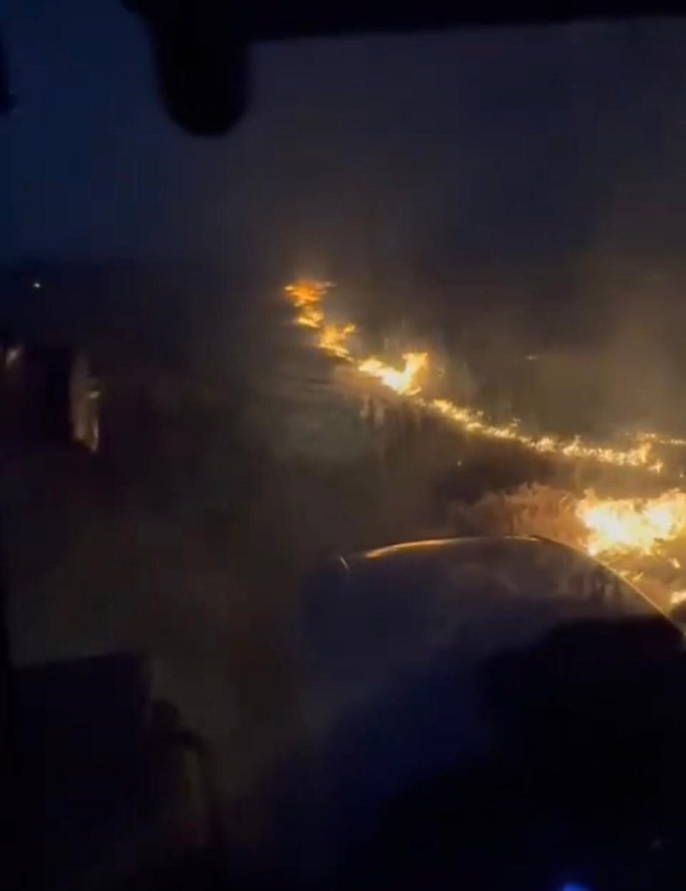 Konya’da kuşlar yangın çıkardı! Ekili alan kül oldu