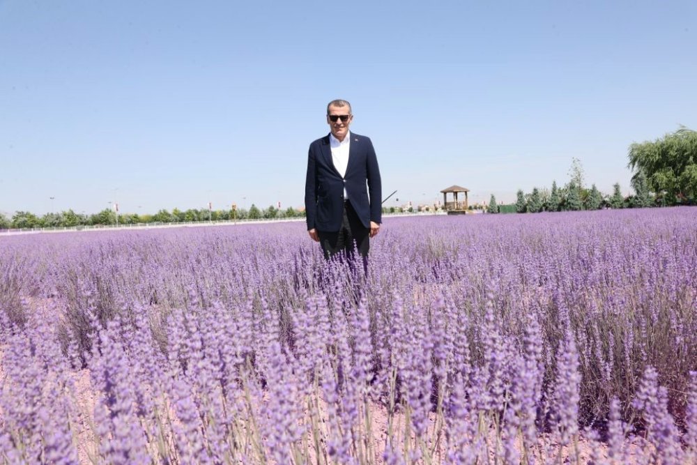 Ömer Arısoy’dan, Karatay’ın bahçelerine övgü