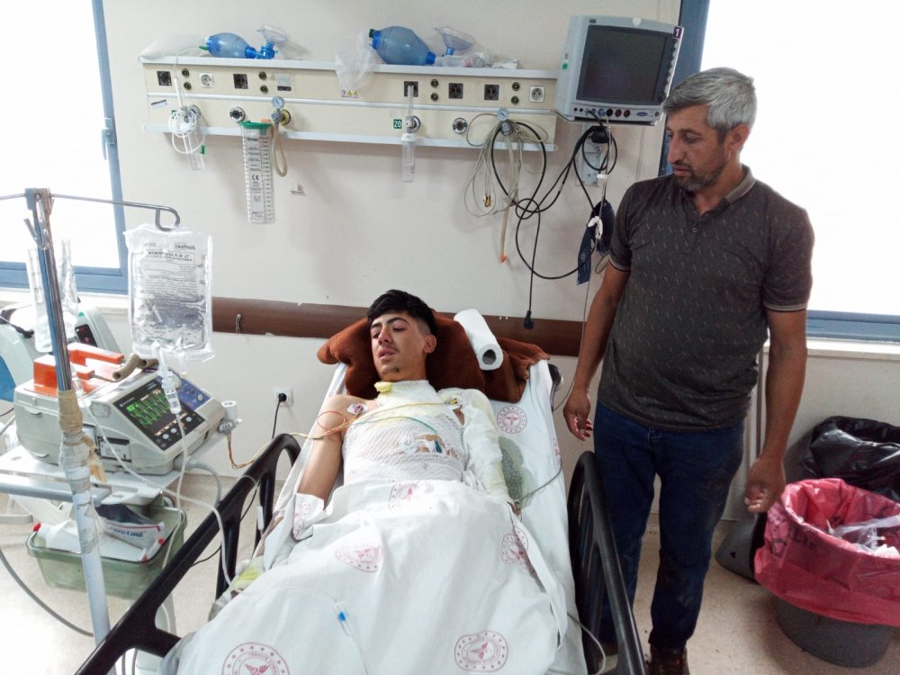 Hayvan otlatırken yıldırım isabet eden 2 kardeş yaralandı; 20 koyun öldü