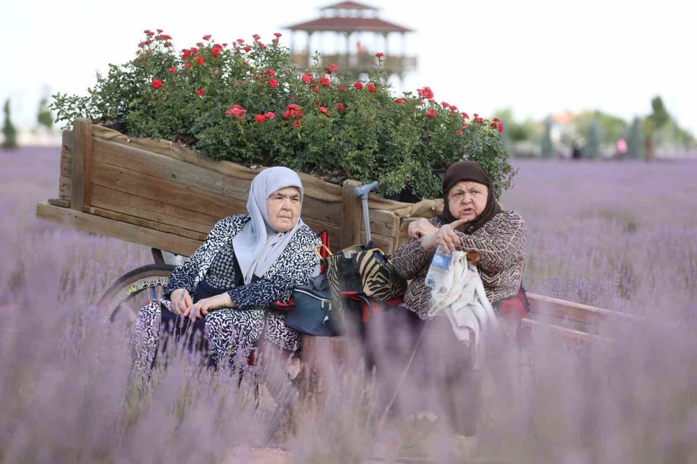 Konya'da Karatay Lavanta Günleri büyük ilgi gördü