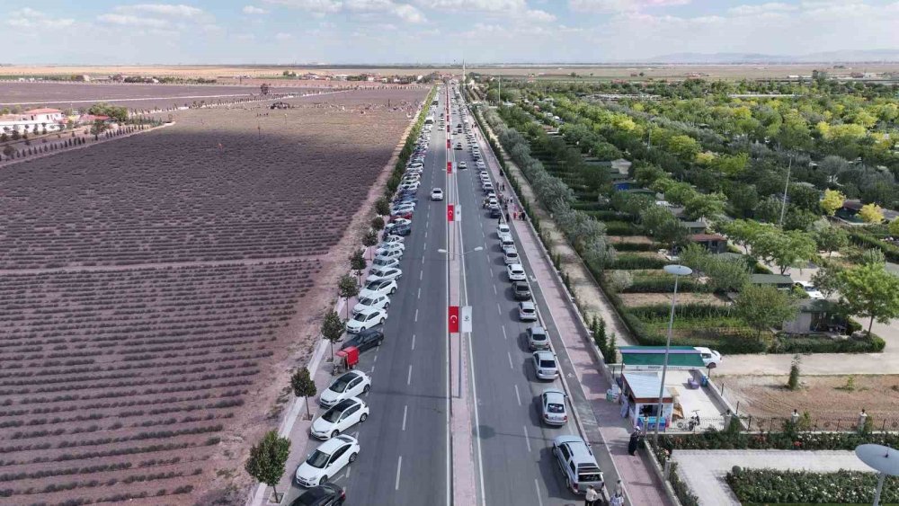 Konya'da Karatay Lavanta Günleri büyük ilgi gördü