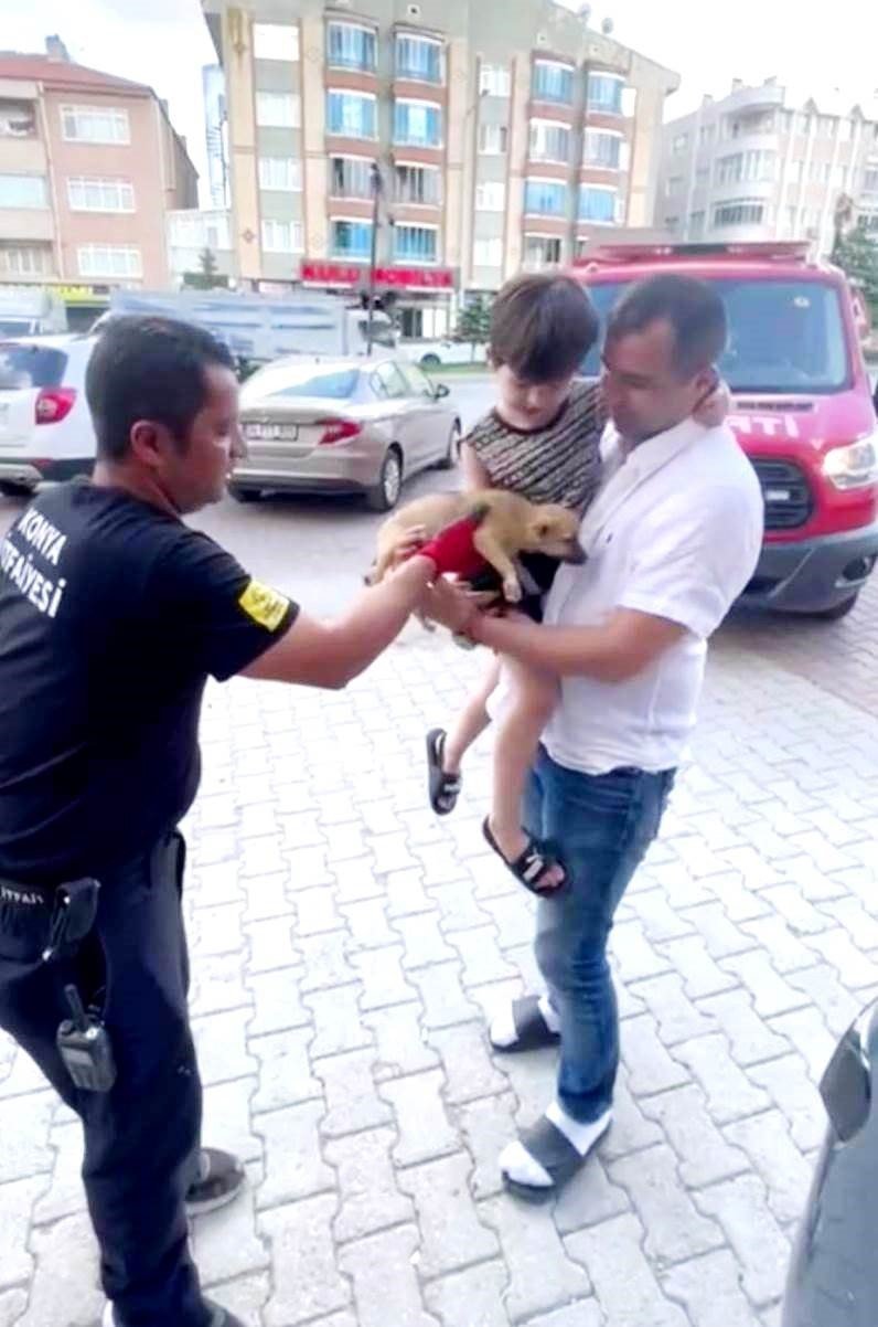 Konya’da yavru köpek için seferber oldular