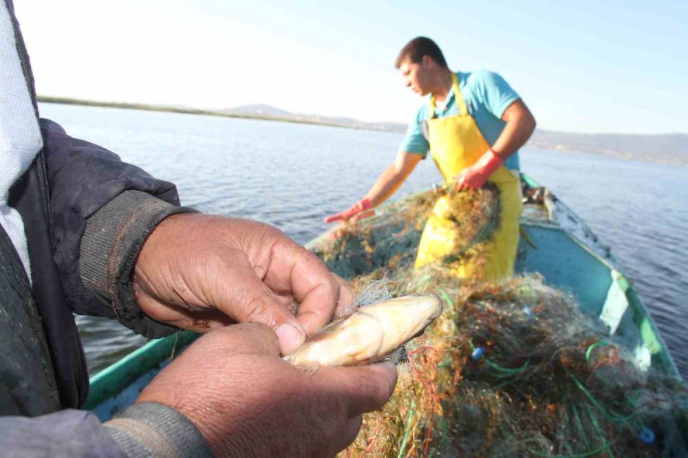 Konya'da gölde balık değil, ot avlıyorlar