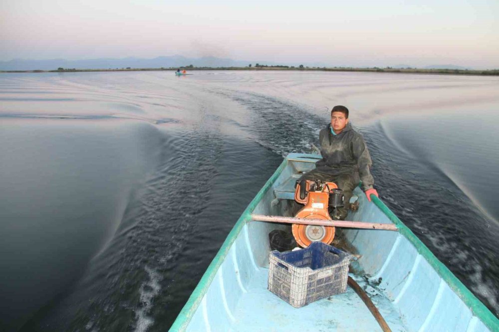 Konya'da gölde balık değil, ot avlıyorlar