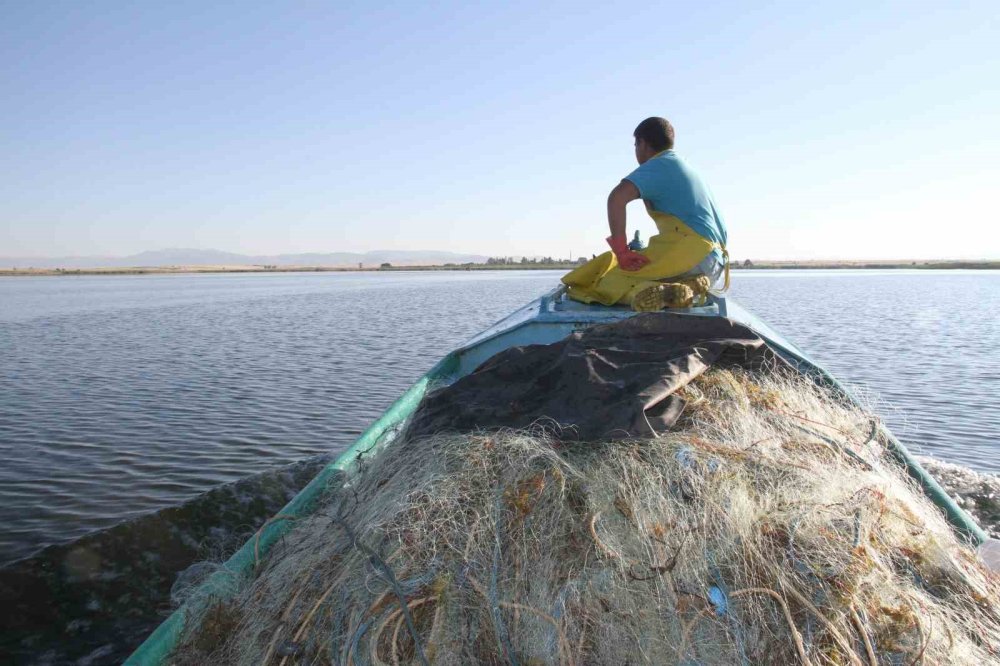 Konya'da gölde balık değil, ot avlıyorlar