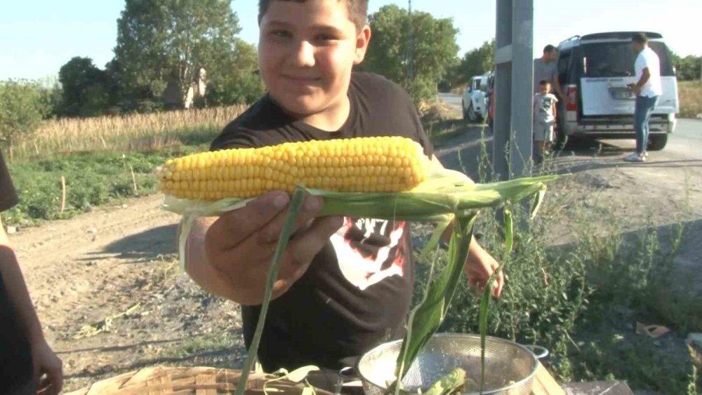 İstanbul bu tarlaya akın ediyor!