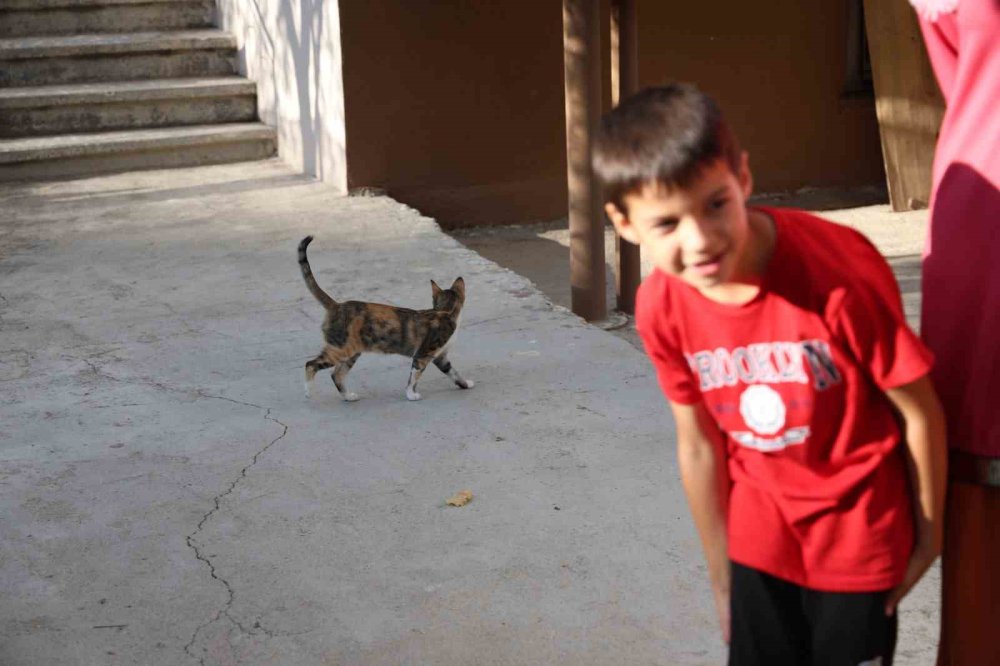 Konya'da görülmemiş hırsızlık! Bakın ne çaldı