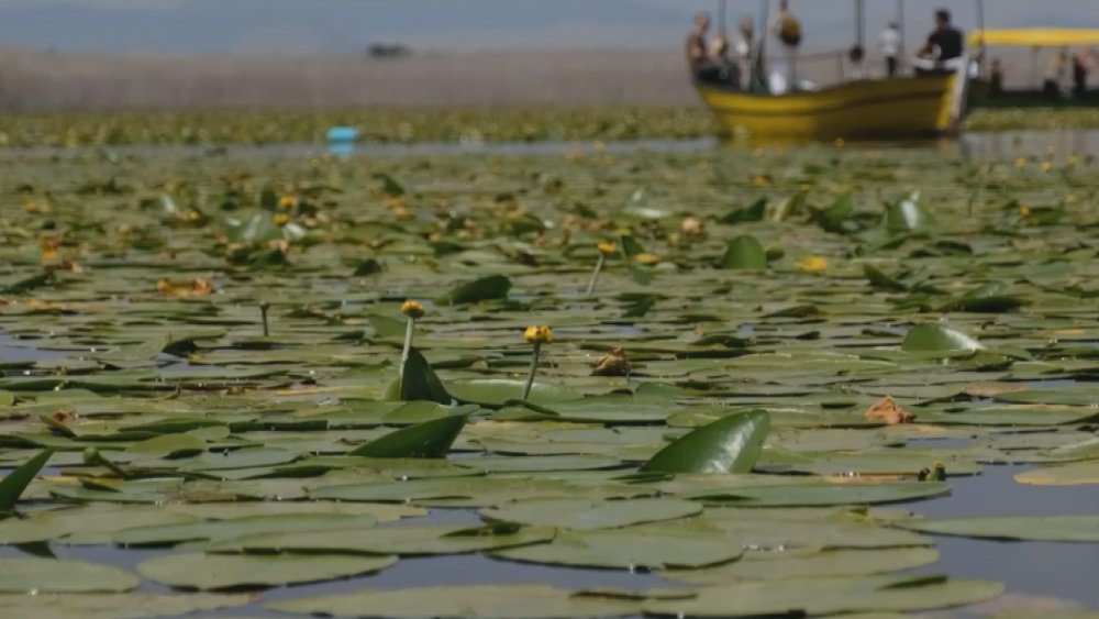 Konya'da görsel şölen