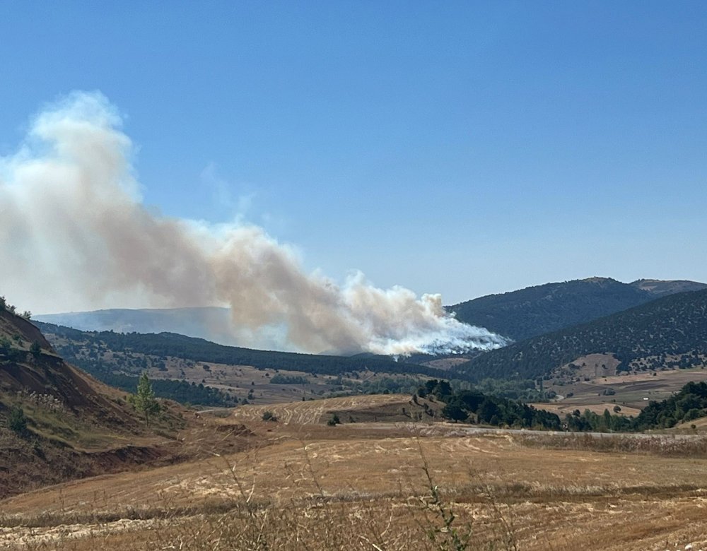Konya'da orman yangını!