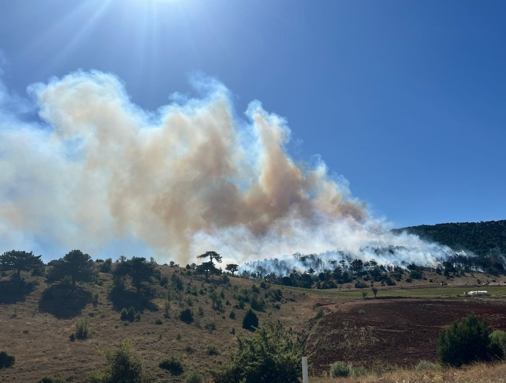 Konya'da orman yangını!