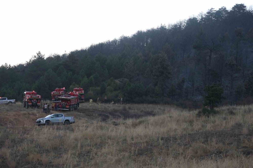 Konya’daki orman yangınında 15 hektar alan kül oldu