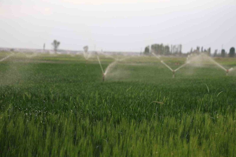 Konya için korkutan rapor... 1 yılda 20 metre!
