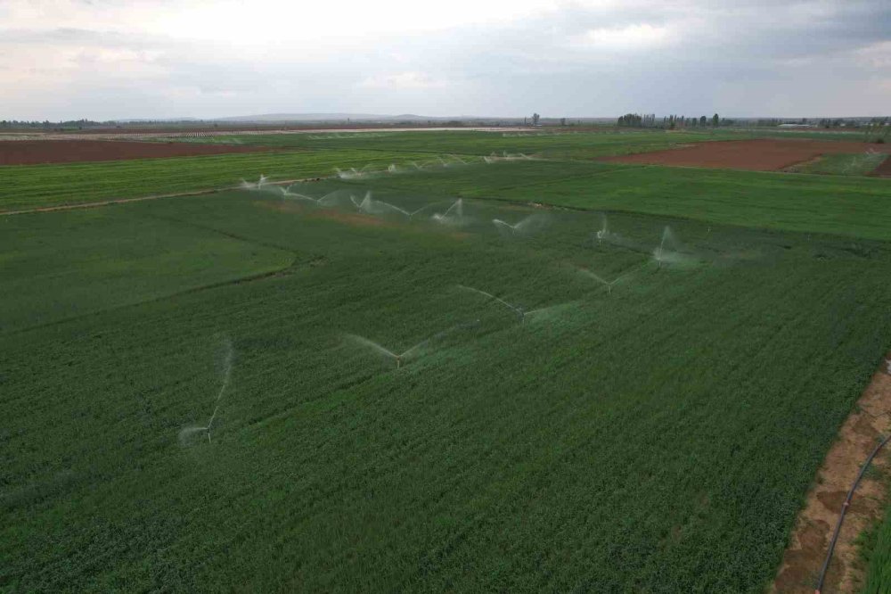 Konya için korkutan rapor... 1 yılda 20 metre!
