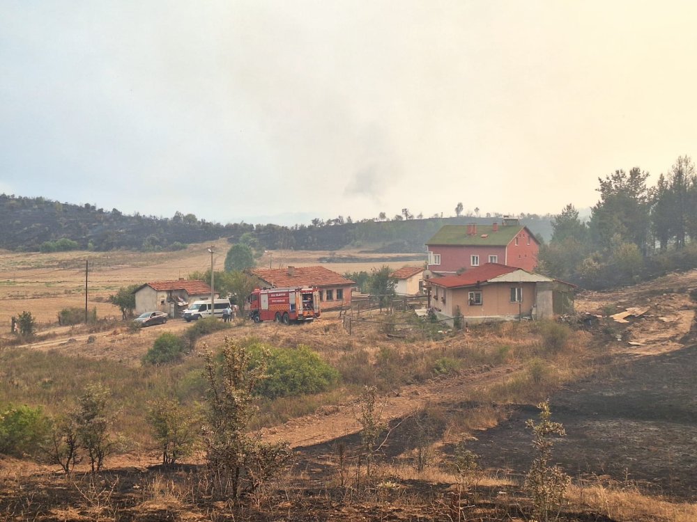 Ankara'daki yangın Bolu'ya sıçradı