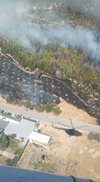 Bergama'da orman yangını