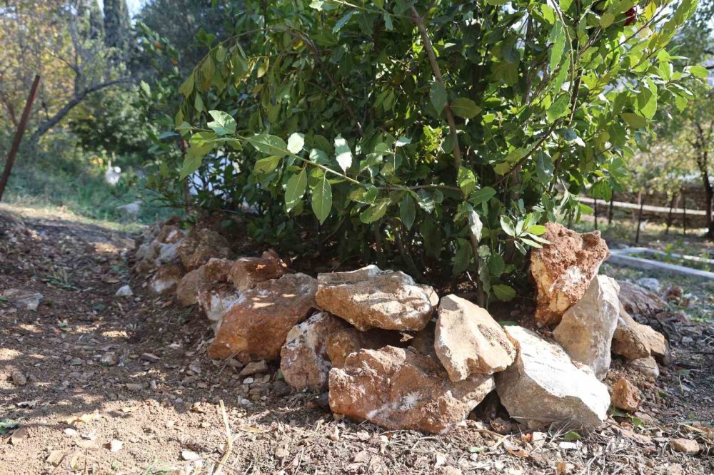 Malatya'da kaldığı yurdun bahçesinde cansız bedeni bulundu