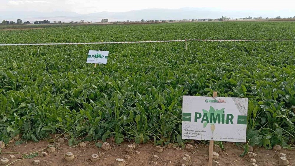 Konya'da geliştirildi... Türk tarımında çığır açacak