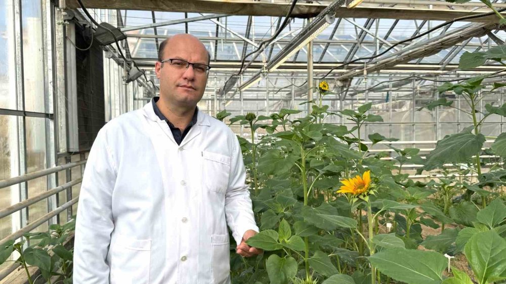 Konya'da geliştirildi... Türk tarımında çığır açacak