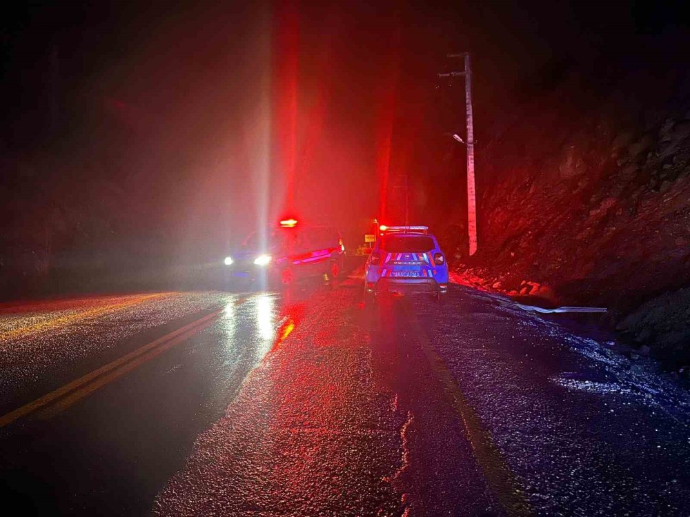 Minibüsün sürücüsü hayatını kaybetti