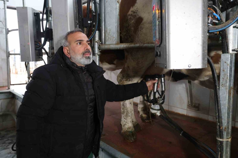 Avrupa'da böyle bir destek yok! Türkiye'ye dönüp çiftlik kurdu, tonlarca üretim yapıyor