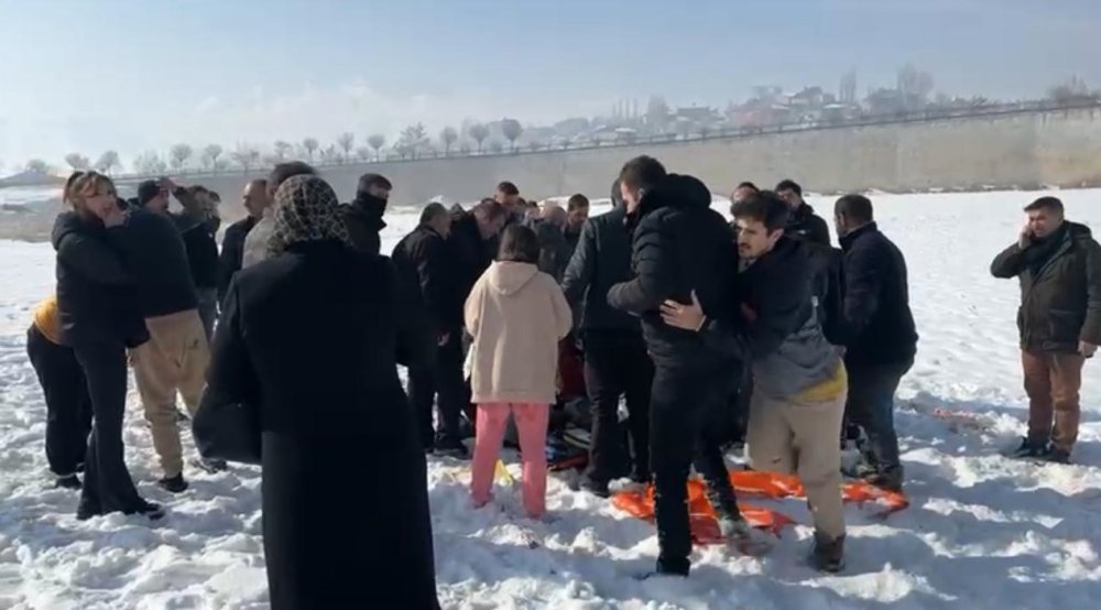 Eslem'in ölümü sonrası bölgedeki sokak köpekleri toplanıyor