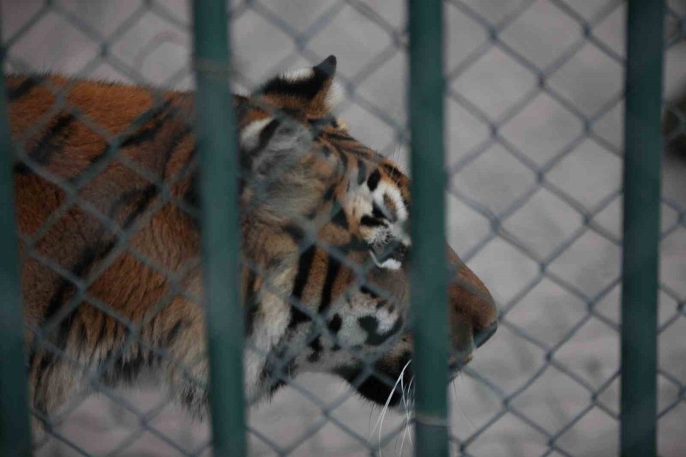 Konya'da yaralar burada sarılıyor