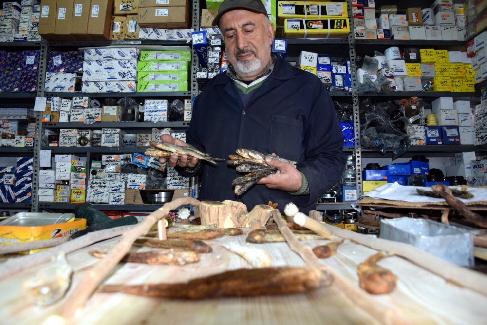 Ölü balıklar tabloya dönüştürüyor