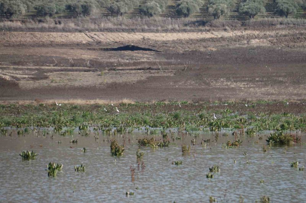 Amik Ovası’nın su deposunu kuraklık vurdu