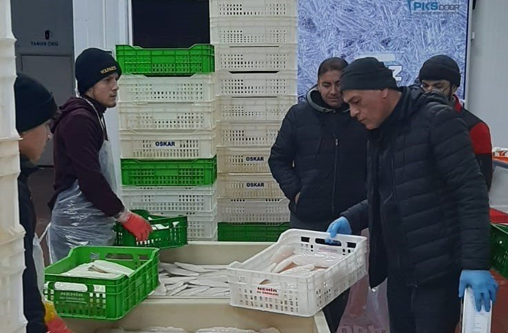 Beyşehir Gölü’ndeki balık popülasyonu denetimlerle korunuyor