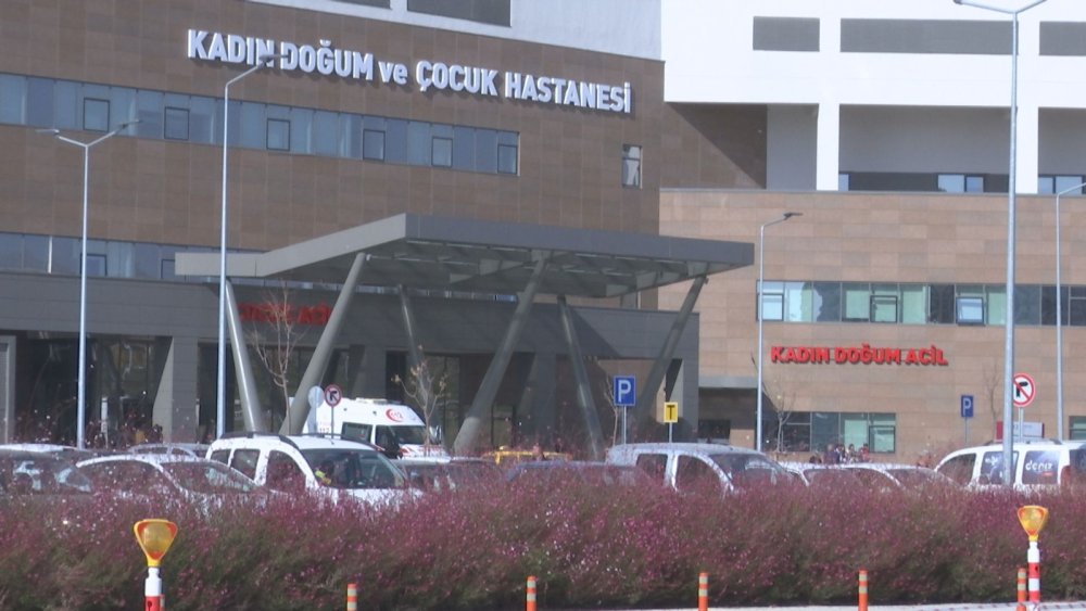 Beslediği boğanın saldırısına uğradı