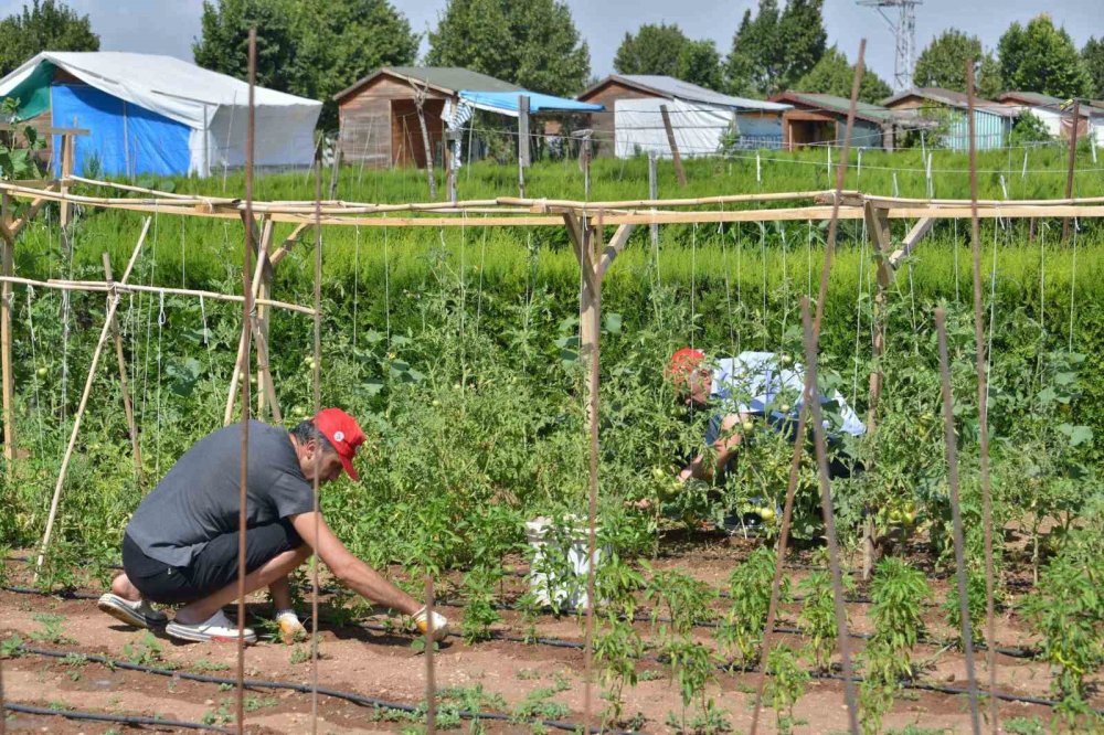 Meram Hobi Bahçeleri’nde hak sahipleri belli oldu