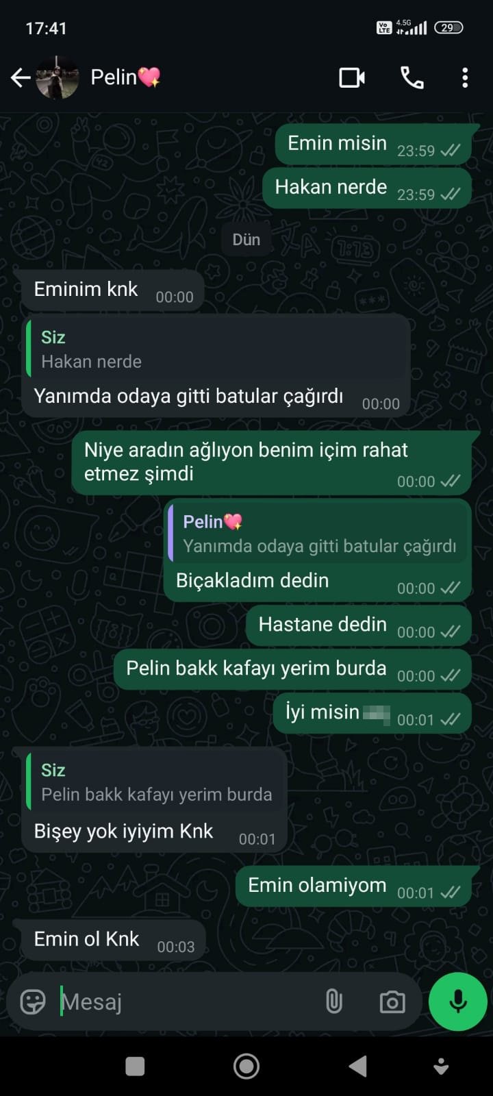 Erkek arkadaşını öldürdü, arkadaşına bunları yazdı