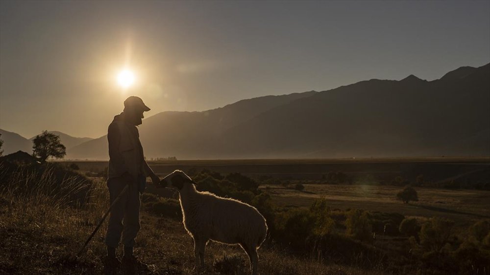 Konya'da kadın nüfusu mu, erkek nüfusu mu daha fazla?