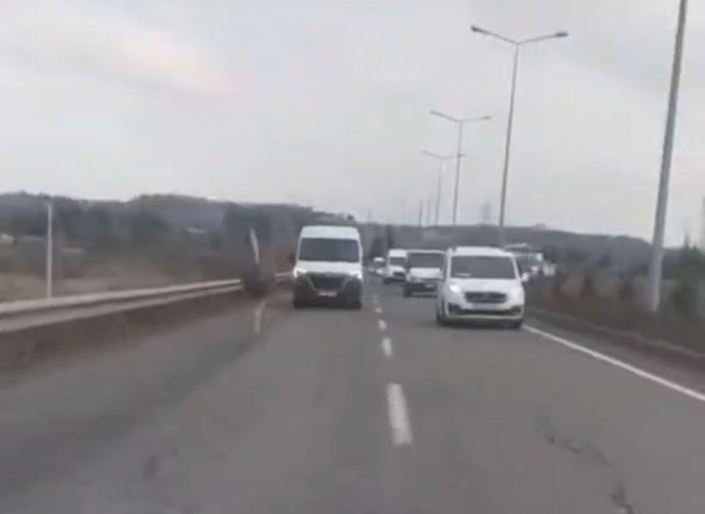 Bahçeden kaçan deve kuşu, 3 gün sonra bulundu