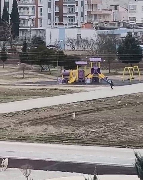 Sokak köpekleri küçük çocuğa böyle saldırdı