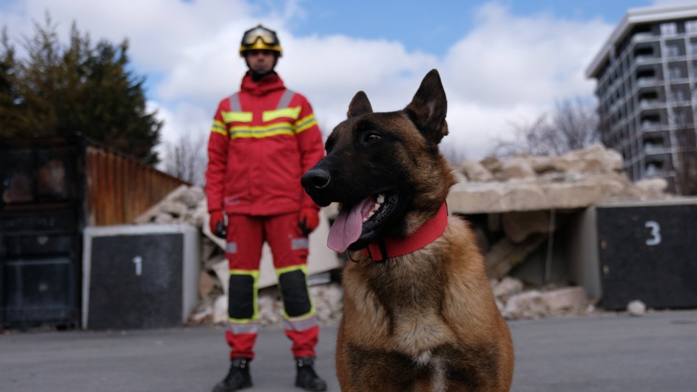 Konya'daki Ateş, Duman ve Atak afetlere hazırlanıyor