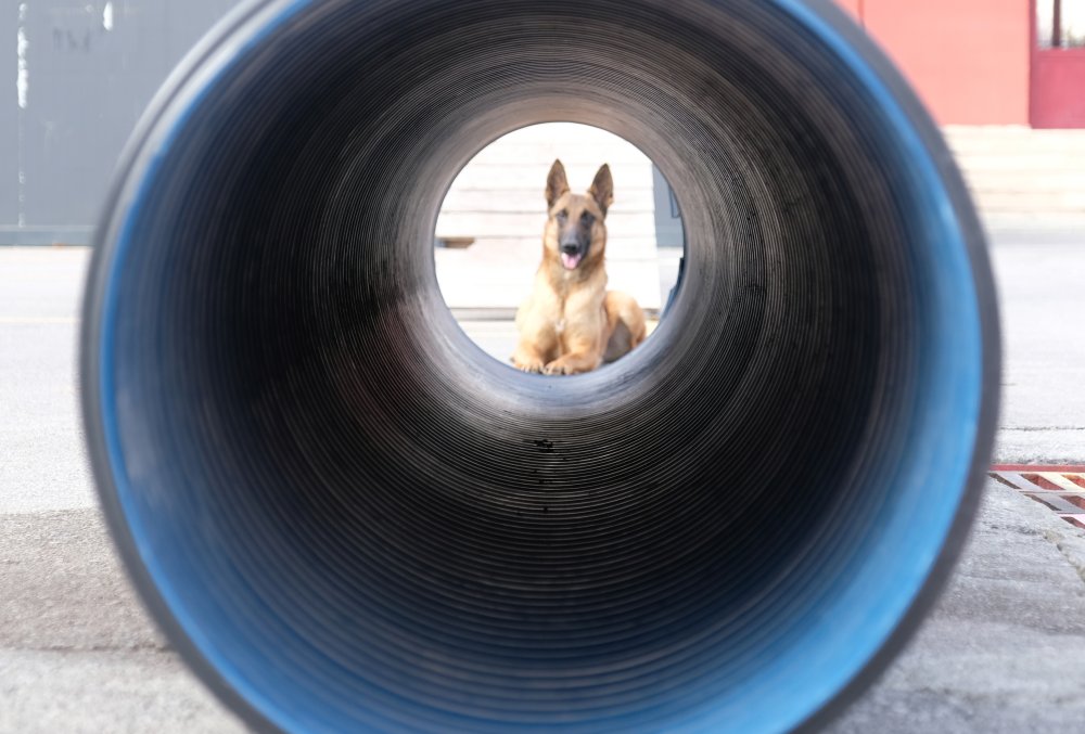 Konya'daki Ateş, Duman ve Atak afetlere hazırlanıyor