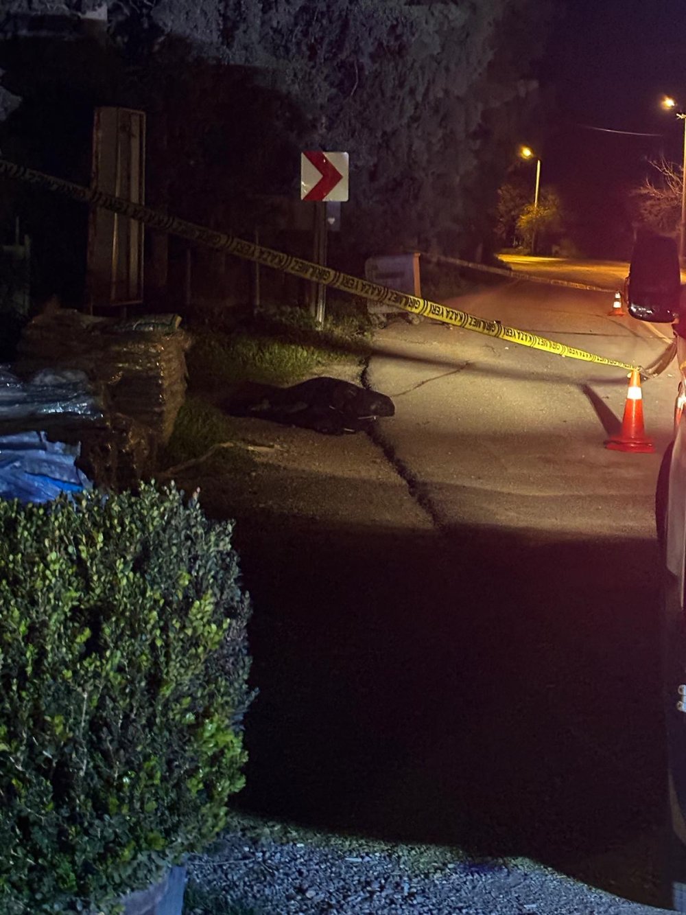 6 aylıkken annesini kaybetti, 9 yaşında kazada engelli kaldı... Yine bir kazada öldü