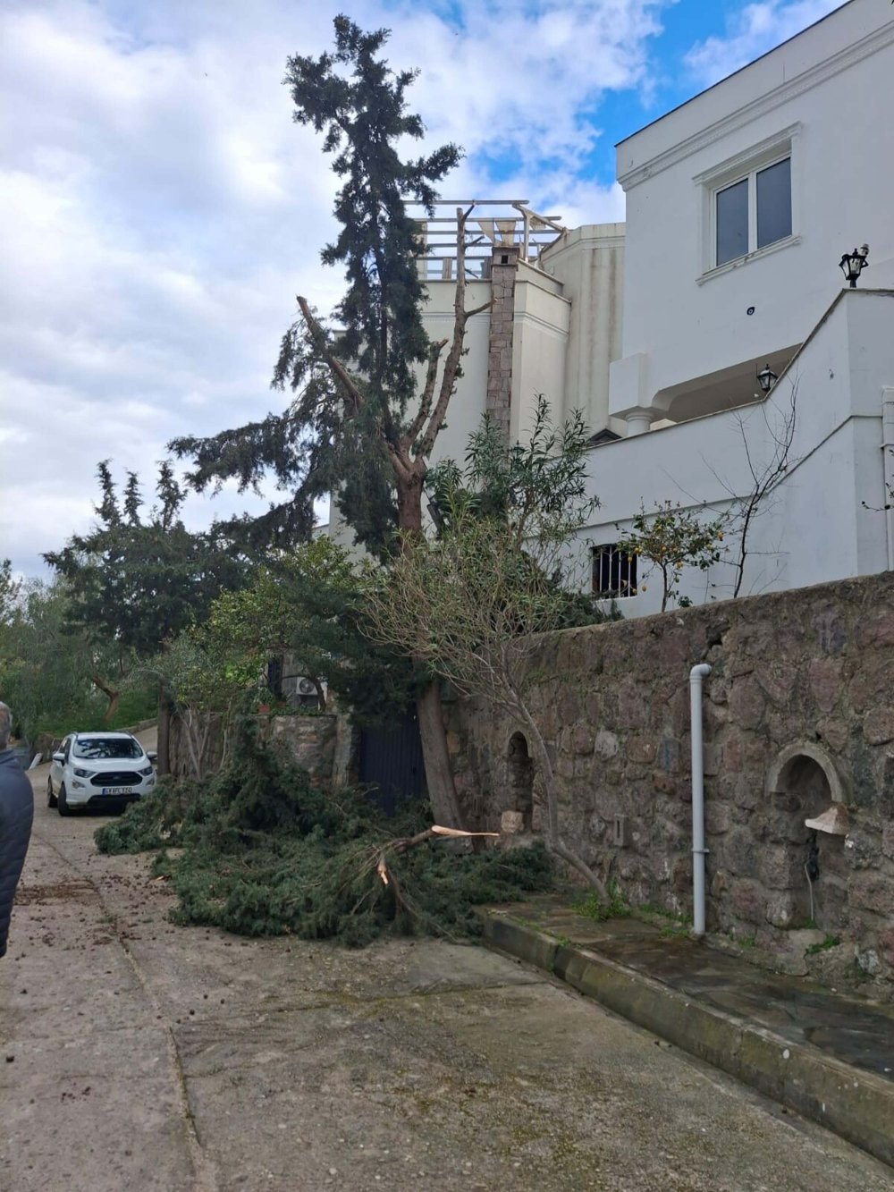Ağaç budamak için çıktığı duvardan düşüp öldü... O isim tutuklandı!