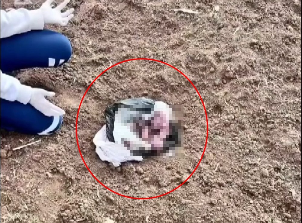 Poşette yeni doğmuş bebek cesedi bulunmuştu, araziye koyan kişi belli oldu