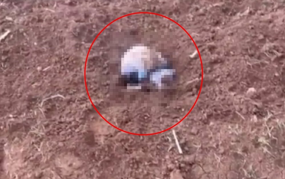 Poşette yeni doğmuş bebek cesedi bulunmuştu, araziye koyan kişi belli oldu