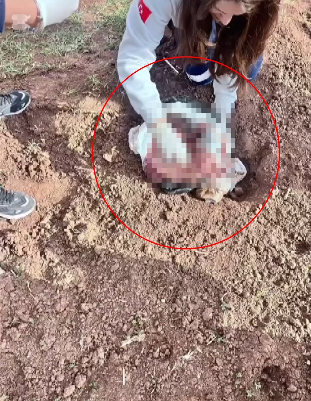 Poşette yeni doğmuş bebek cesedi bulunmuştu, araziye koyan kişi belli oldu