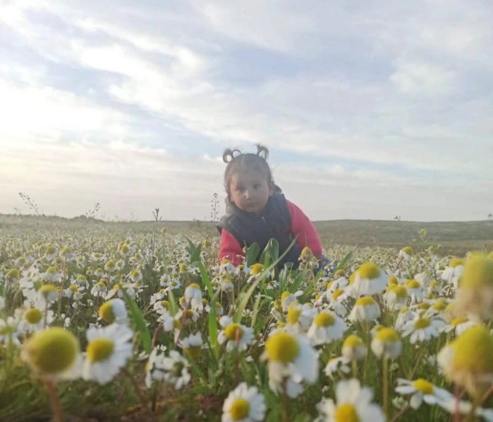 Evinin önünde aracın çarptığı minik Zeynep, öldü