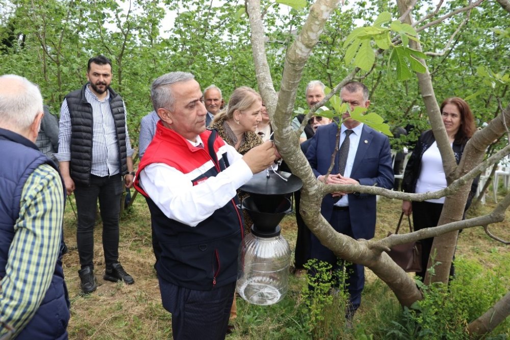 Yağan kara güvenme, kokarcaya aman verme