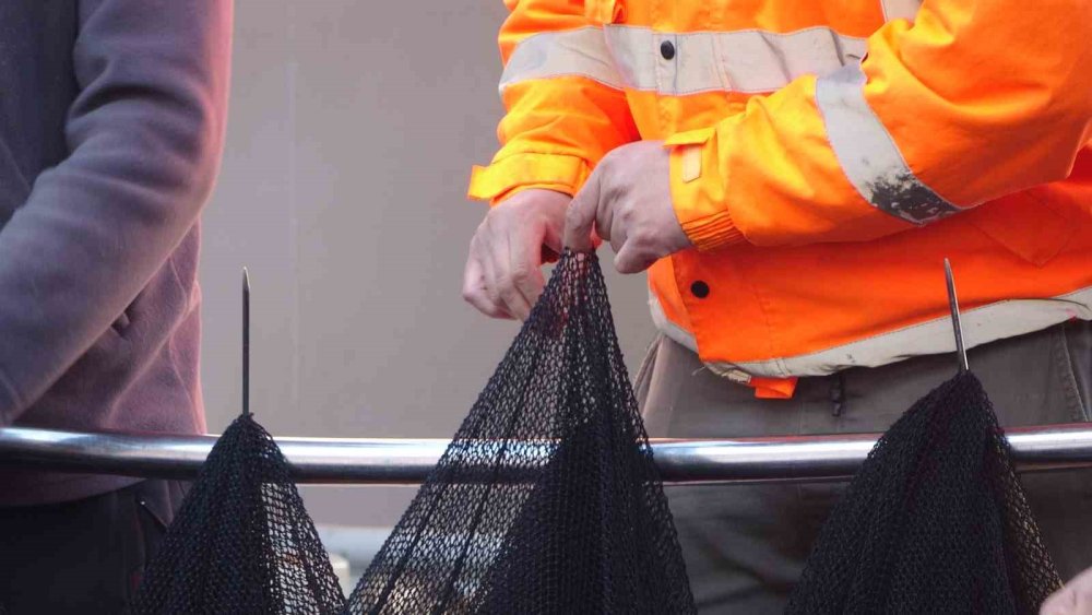 Tekneler erken "paydos" etti